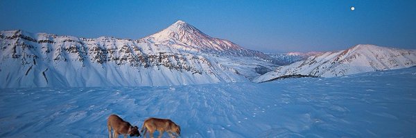 ZianAzadi Profile Banner
