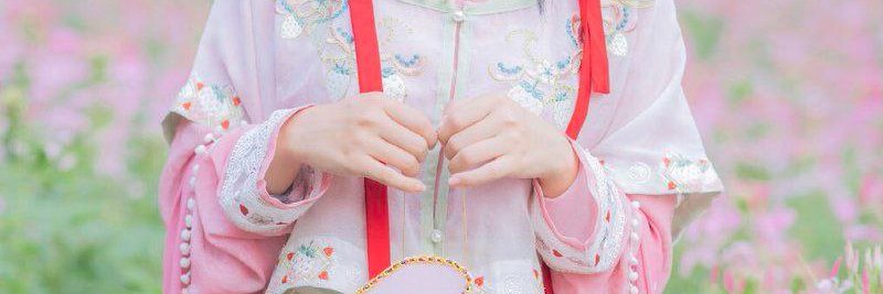 摄影艺术鉴赏 banner