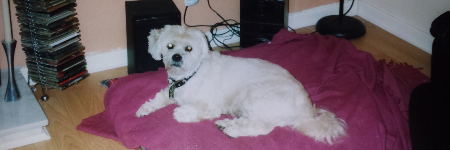 ttglicky1983's profile banner image