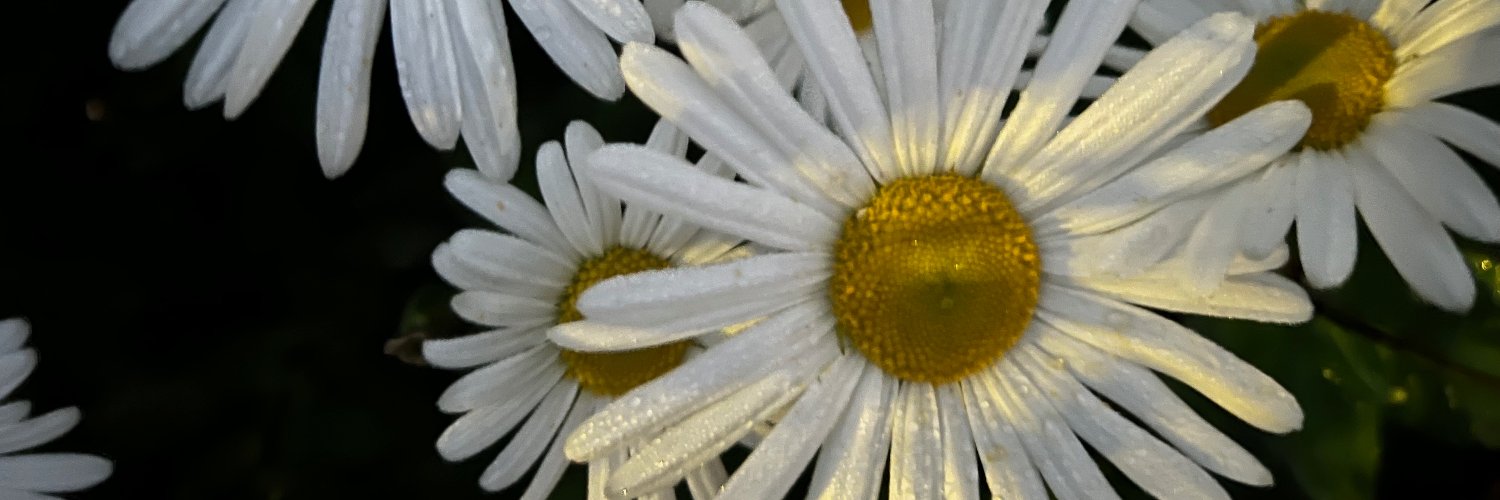 janelatmandc's profile banner image