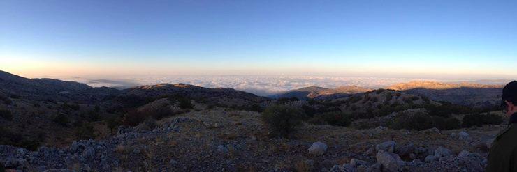 Gabriel Avner banner