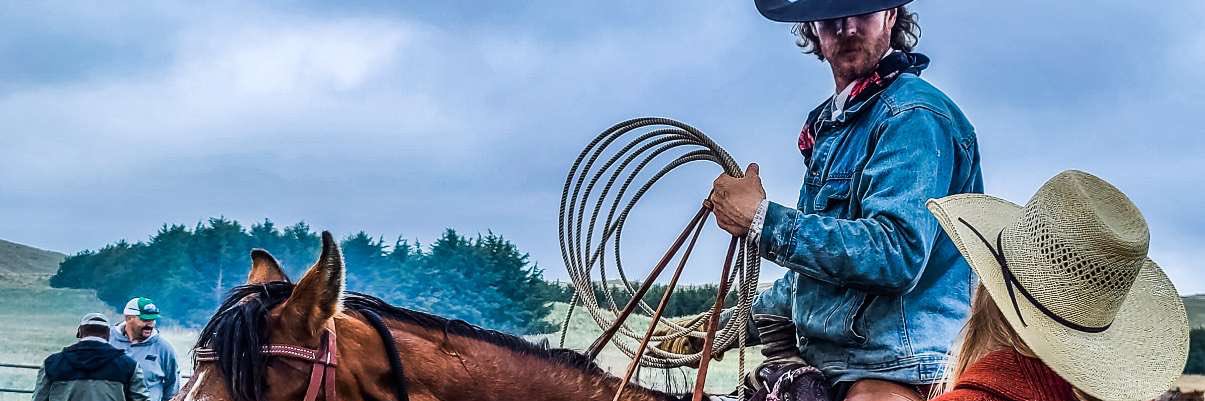 jennuncutkey's profile banner image