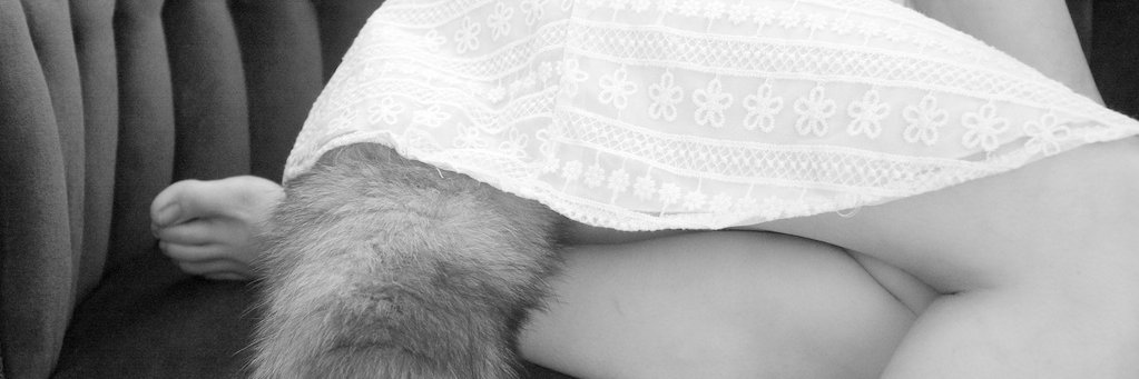 AuthorBro's profile banner image