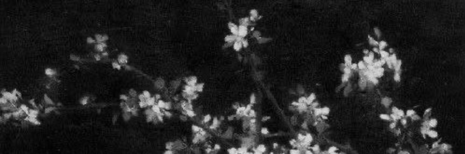 Kinandita Sahira. banner