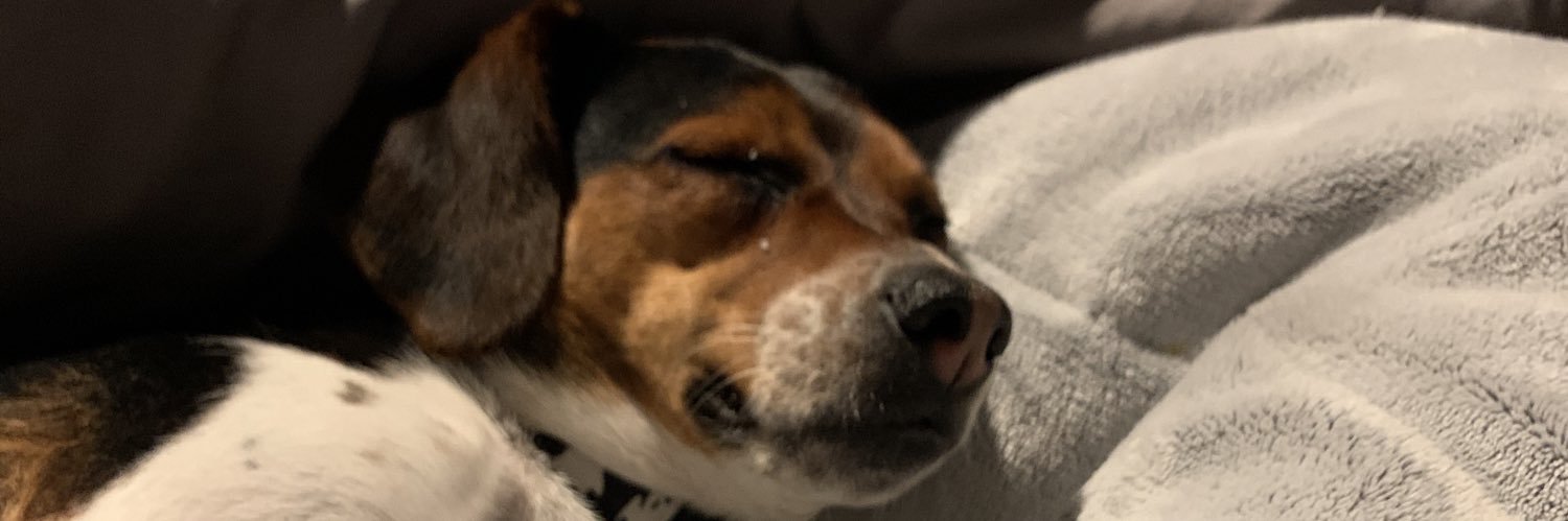 selenaherbert's profile banner image