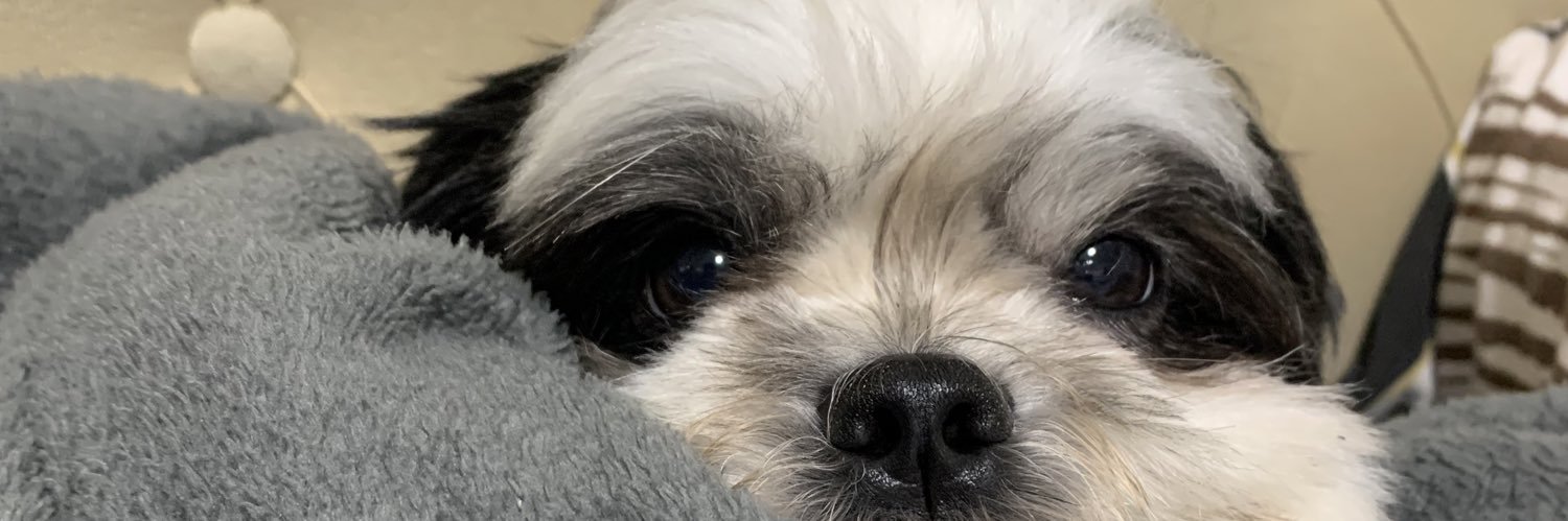 hamburquerque's profile banner image