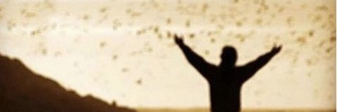 receptds's profile banner image