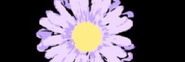 hope__ray's profile banner image