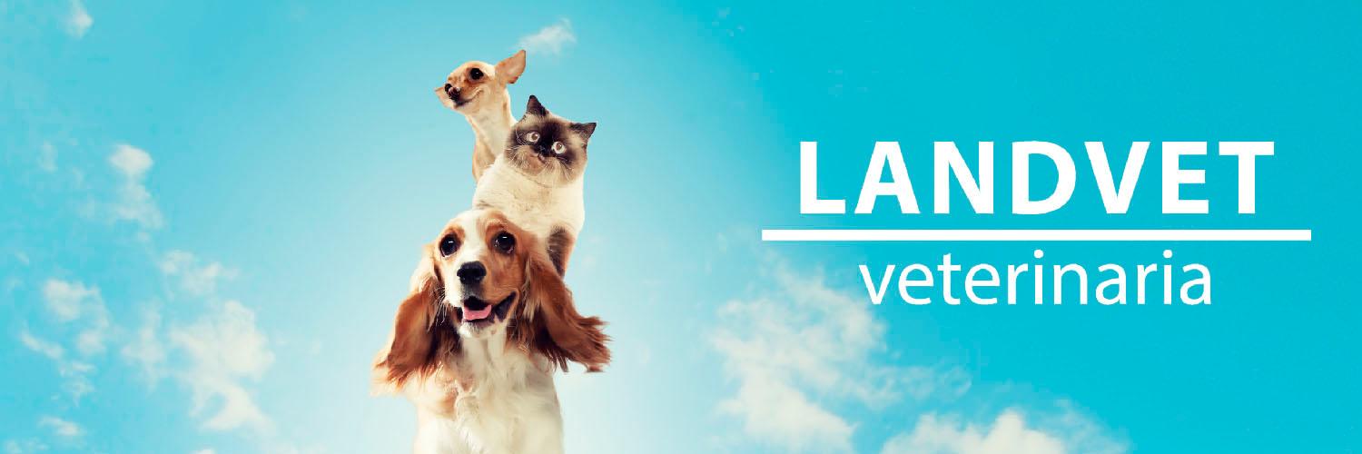 Landvet's profile banner image