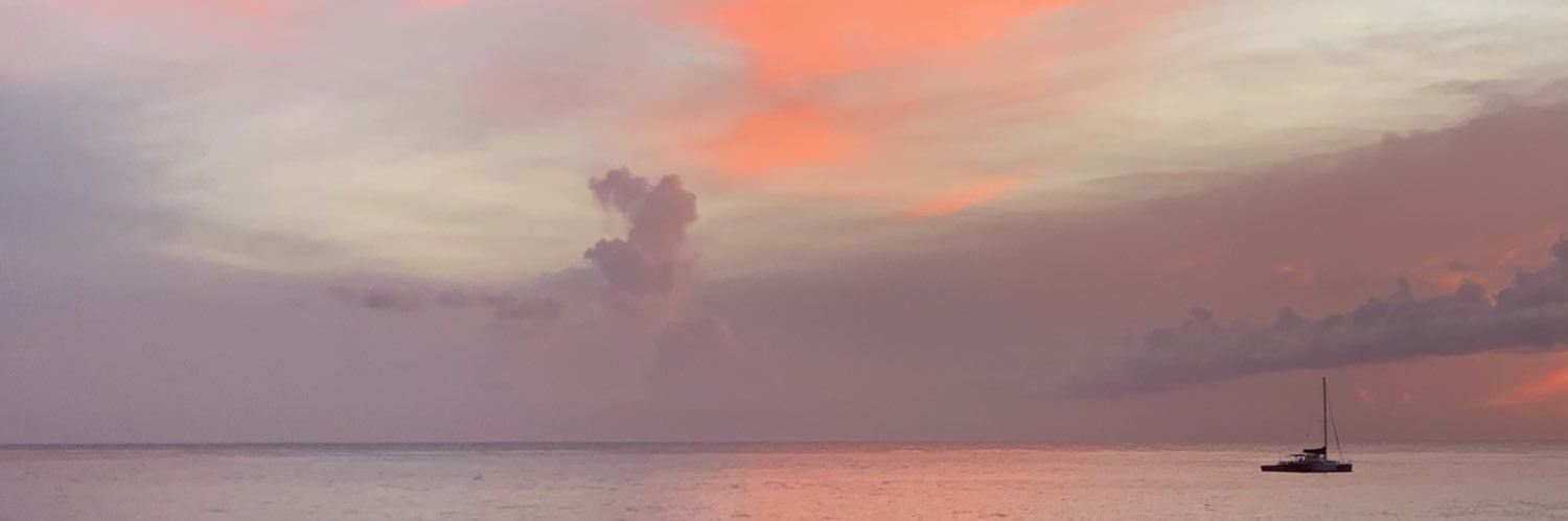 luisarmc's profile banner image