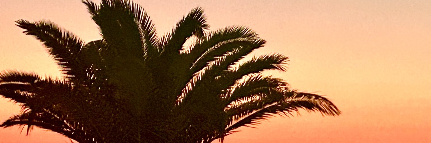 FSeagle1's profile banner image