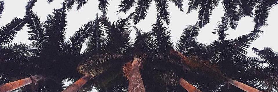 portantoni's profile banner image
