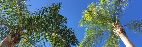 MarmetteP Profile Banner