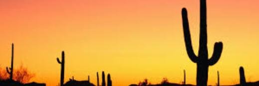 nopal_official's profile banner image