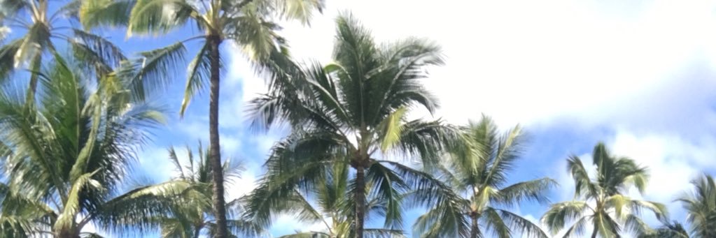 Darren Lachtman banner