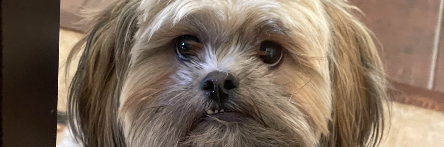 nalanithegreat_'s profile banner image