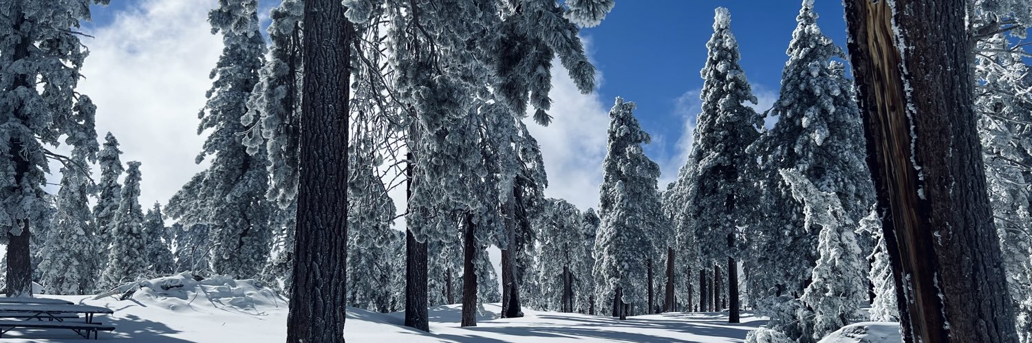 Ecco Starling banner