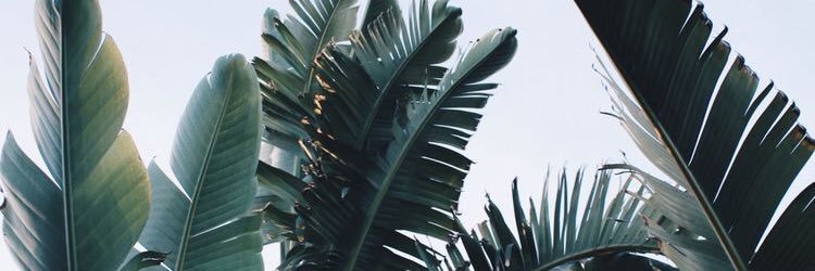 MarayaCoop's profile banner image