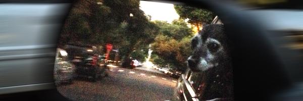 LANGLEY1031 Profile Banner