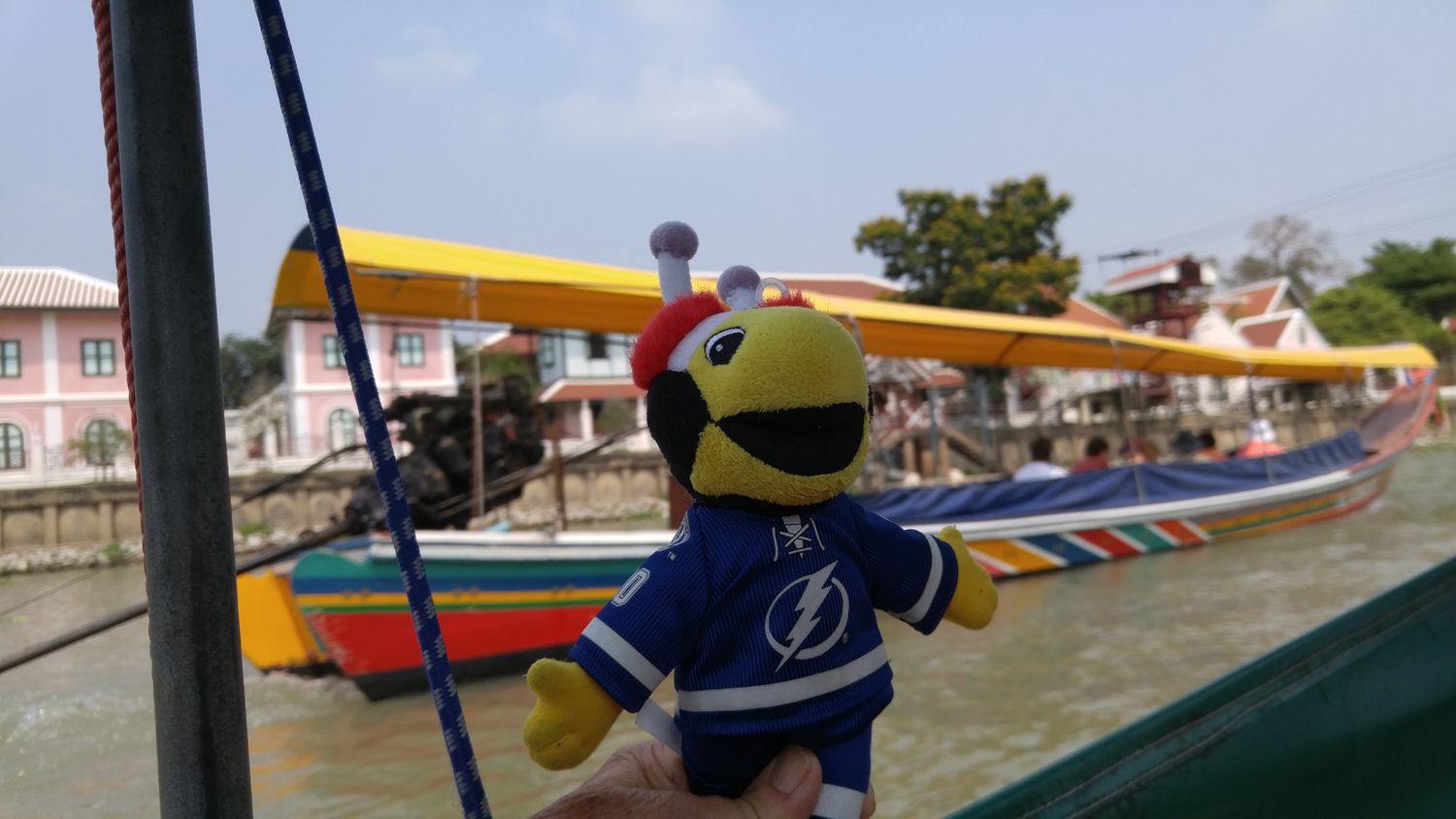 Cindy E ⚡️💙⚡️⚾🏒🏉🏉 banner