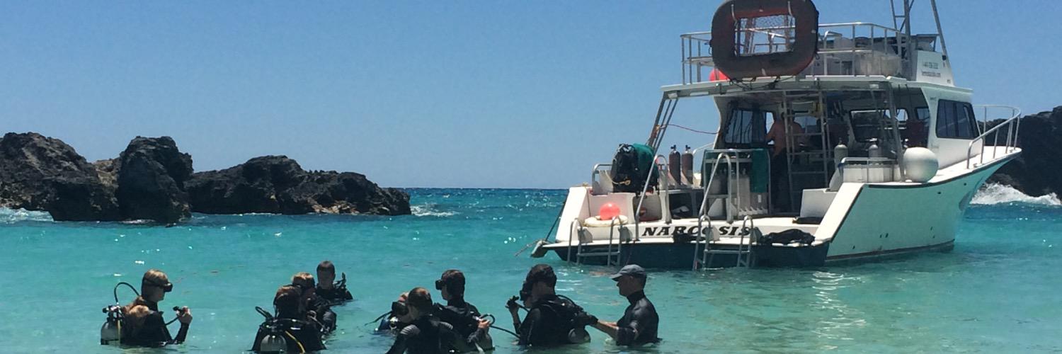 divebermuda's profile banner image