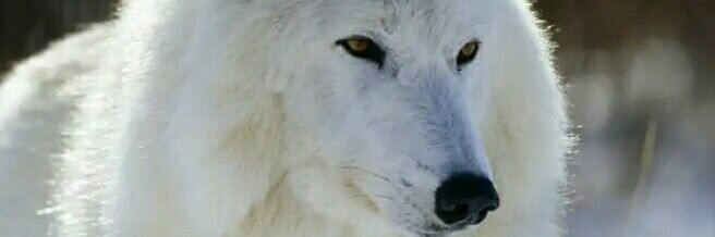 TaliCami's profile banner image
