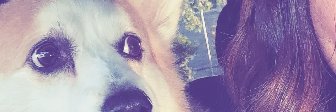 Melissa 🦋 banner