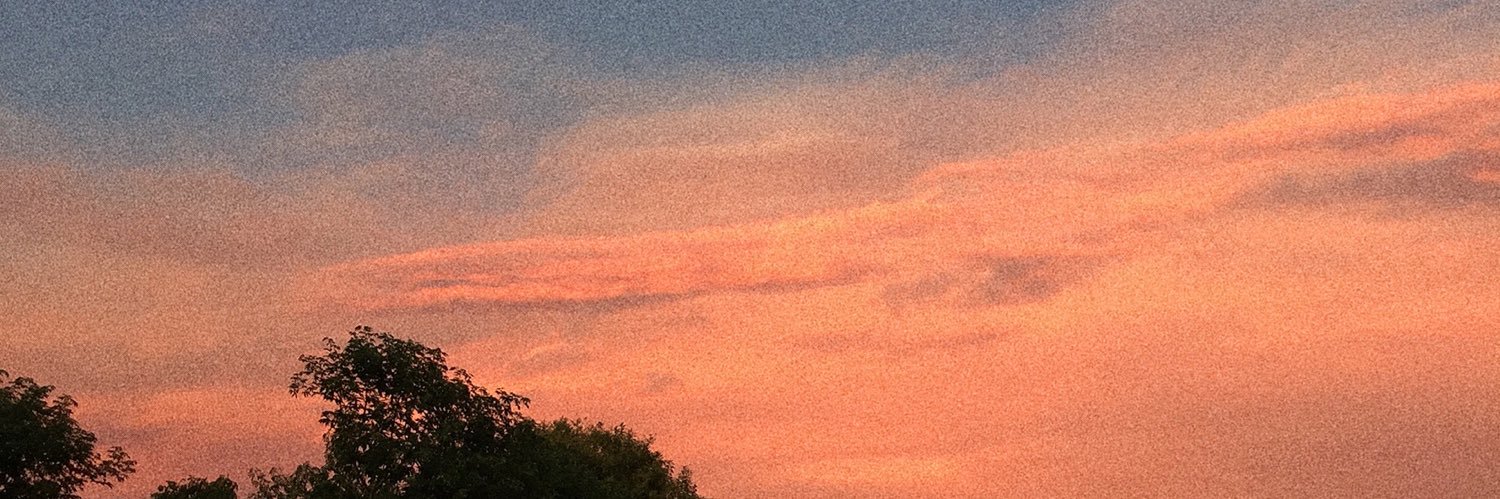 AleeCurutchet's profile banner image