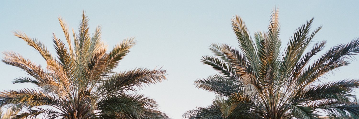 stephanvance's profile banner image