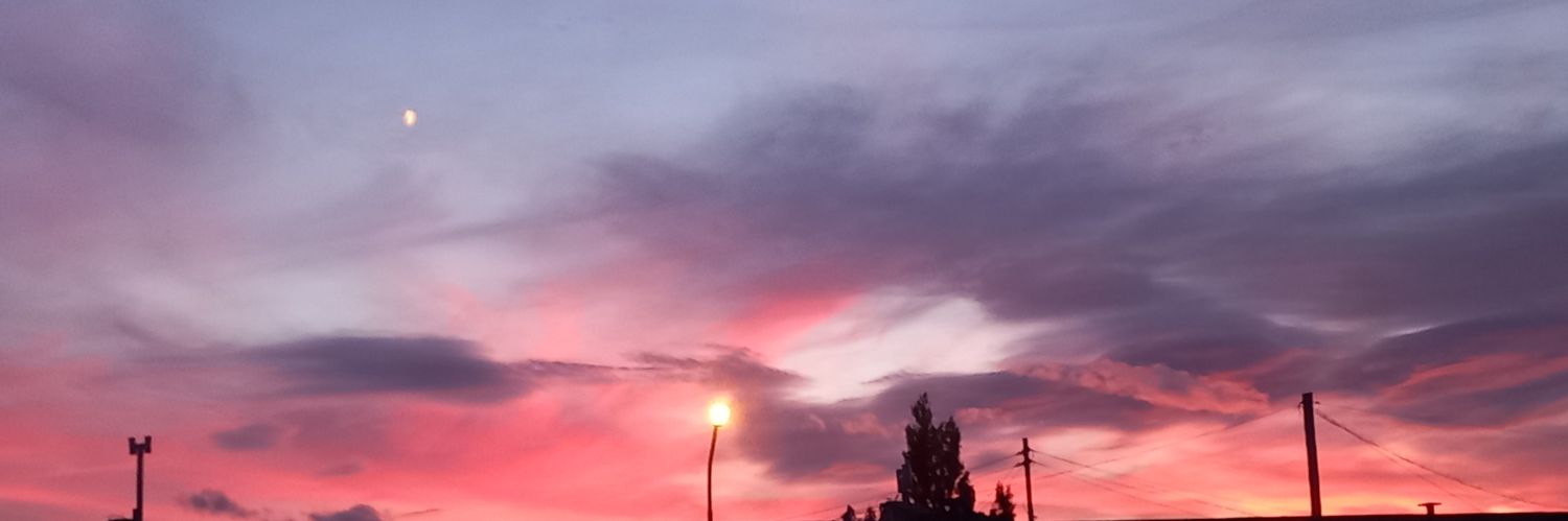 MicaftJenner's profile banner image
