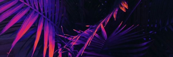 MsCassiP Profile Banner