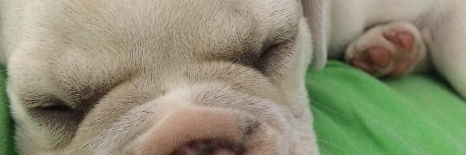 josesoto8's profile banner image