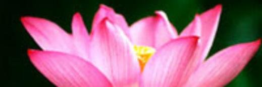 UMESH18889's profile banner image