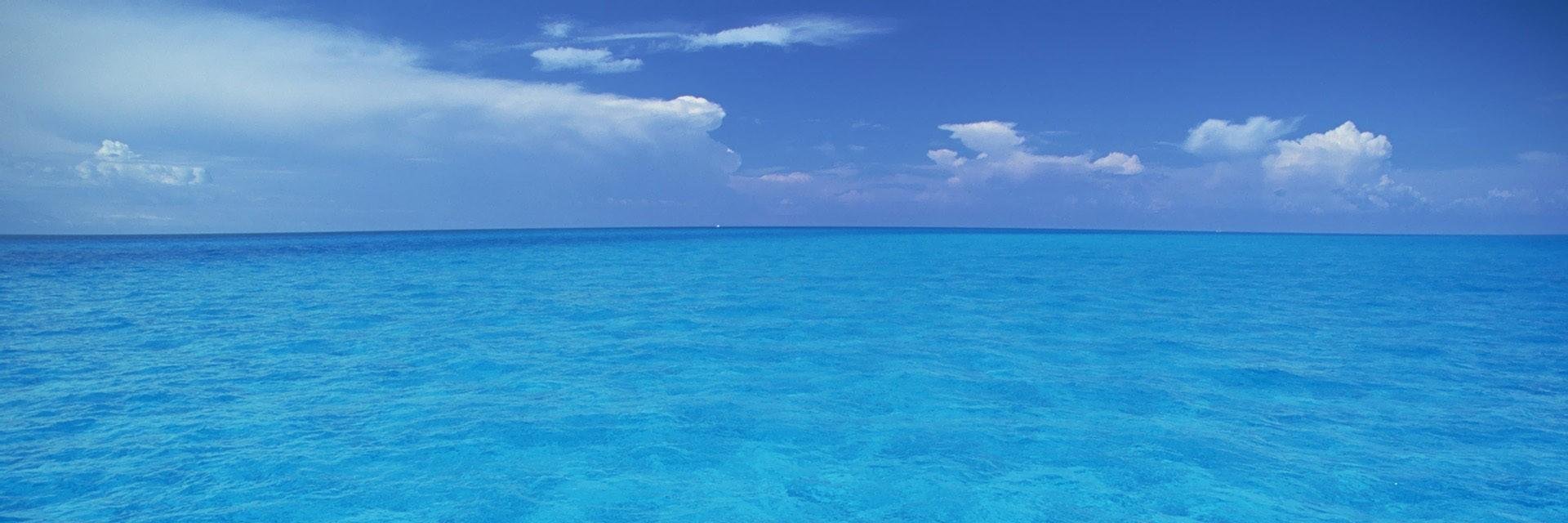PalmaEduca's profile banner image