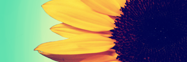 med212's profile banner image