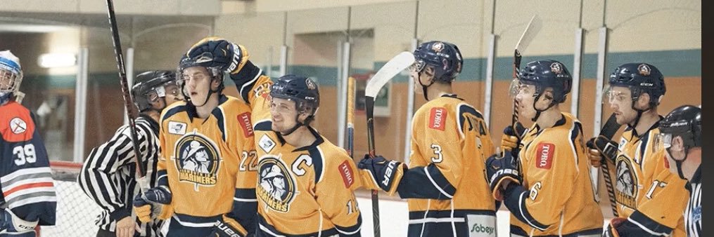 Jonathan Rees Jr banner