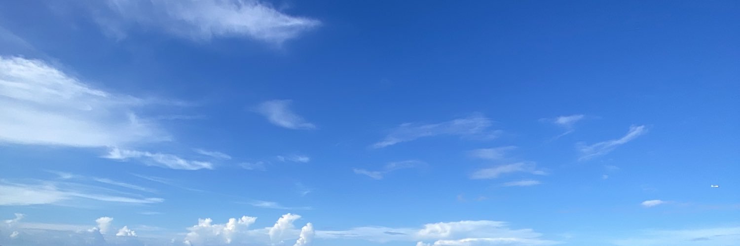 whodatfink's profile banner image