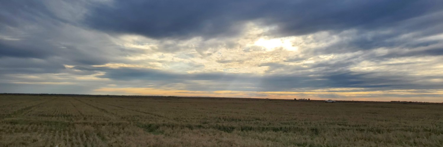 Rahul Raman, Ph.D. banner
