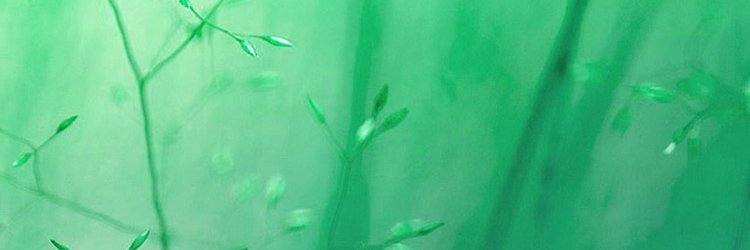 kb9459's profile banner image