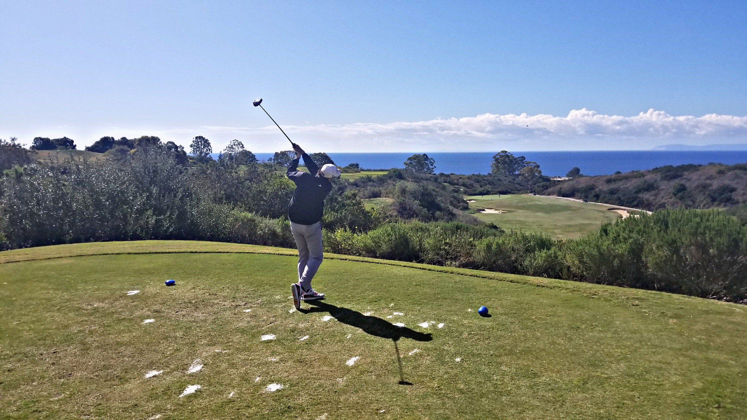 Adam Paul Johnson banner