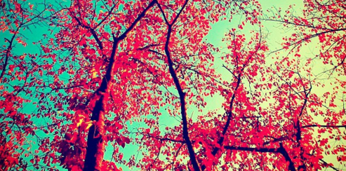 Lee_sa11's profile banner image