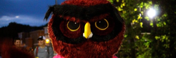 PR_Rowdies's profile banner image