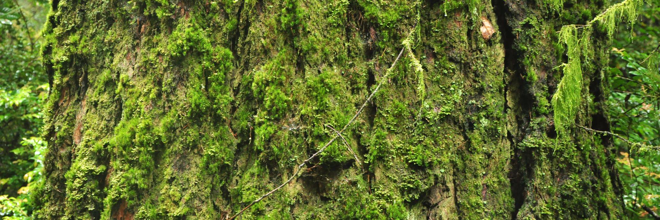 BewilderknitsGS's profile banner image