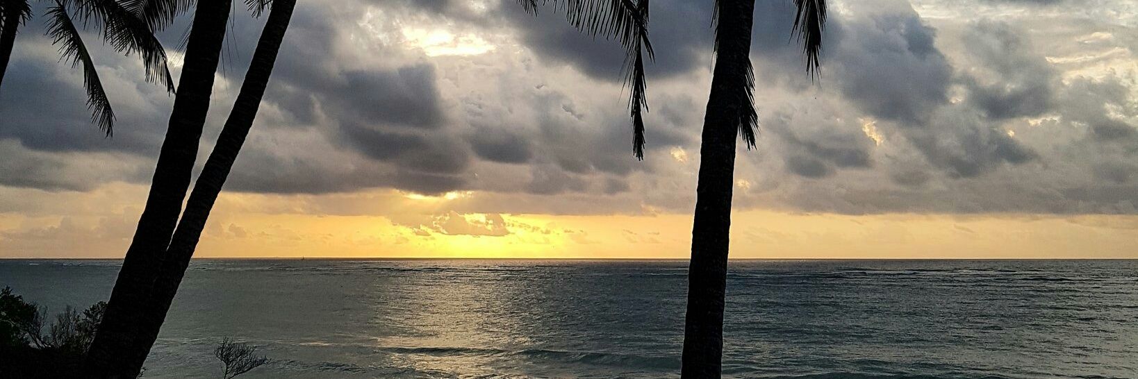 margarett  Gatene banner