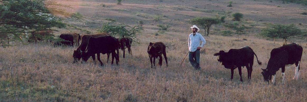 Drew Bennett (drewebennett.bsky.social) banner