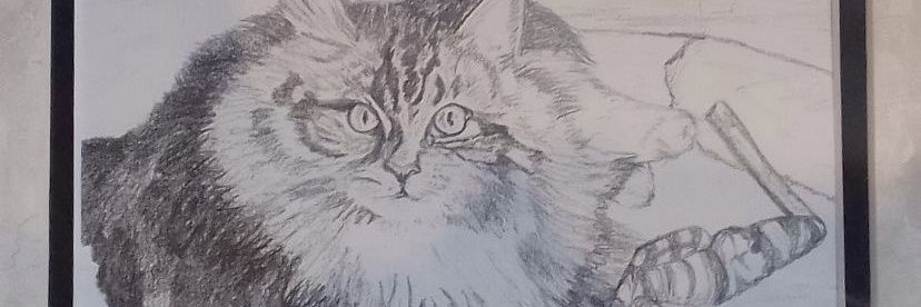Kathi Bilbrey 💙🌊💙🌻🐱 banner