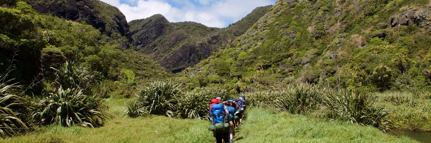 Stephen Briscoe banner