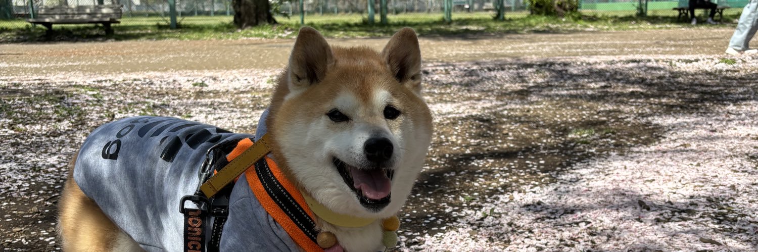 ma_kunwao's profile banner image