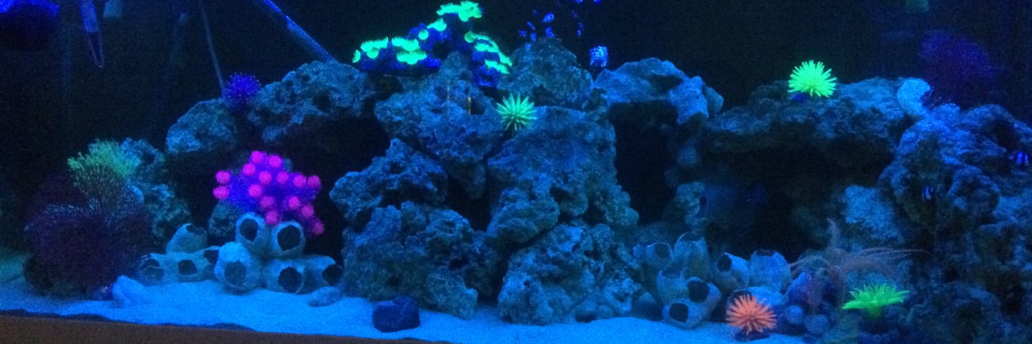 phillip pargeter banner