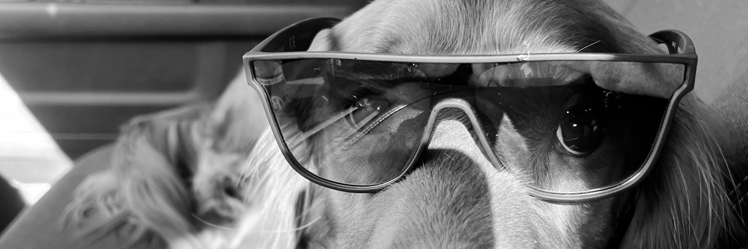 iambse3's profile banner image